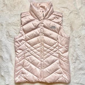 the north face vest